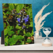 Lila Bienenvölker und Hummel Fotoplatte (Seite)