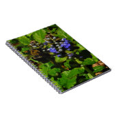 Lila Bienenvölker und Hummel Notizblock (Rechte Seite)