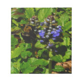 Lila Bienenvölker und Hummel Notizblock (Vorderseite)