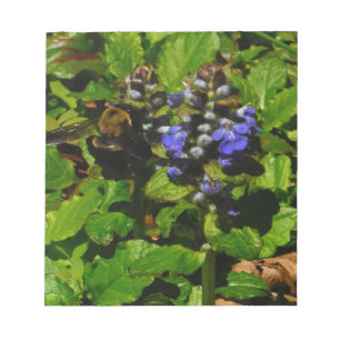 Lila Bienenvölker und Hummel Notizblock