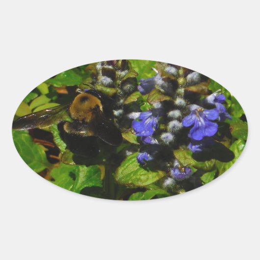 Lila Bienenvölker und Hummel Ovaler Aufkleber (Vorderseite)