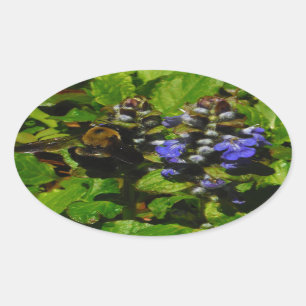 Lila Bienenvölker und Hummel Ovaler Aufkleber