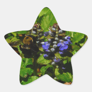 Lila Bienenvölker und Hummel Stern-Aufkleber