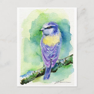 Lila Bird Postkarte