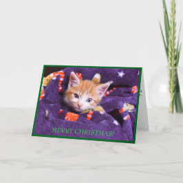 Lila Blanket Katze Frohe Weihnachten Orange Kitten