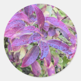 Lila Blätter auf Aufklebern Runder Aufkleber