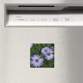 Lila/blau-Daisy-Magnet Magnet (In Situ (Geschirrspüler))