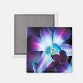 Lila & blau Dendrobium Orchideen Magnet (Vorderseite/Rückseite)