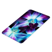 Lila & blau Dendrobium Orchideen Magnet (Linke Seite)