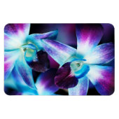 Lila & blau Dendrobium Orchideen Magnet (Horizontal)