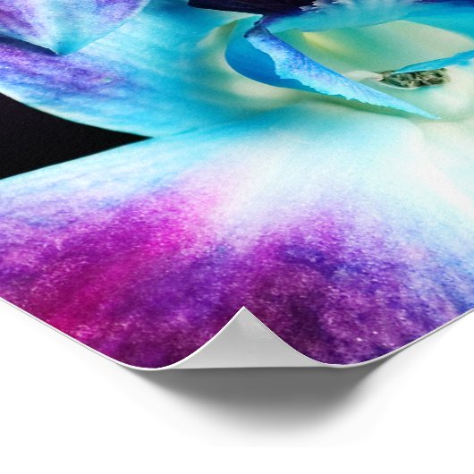Lila & blau Dendrobium Orchideen Poster (Ecke)