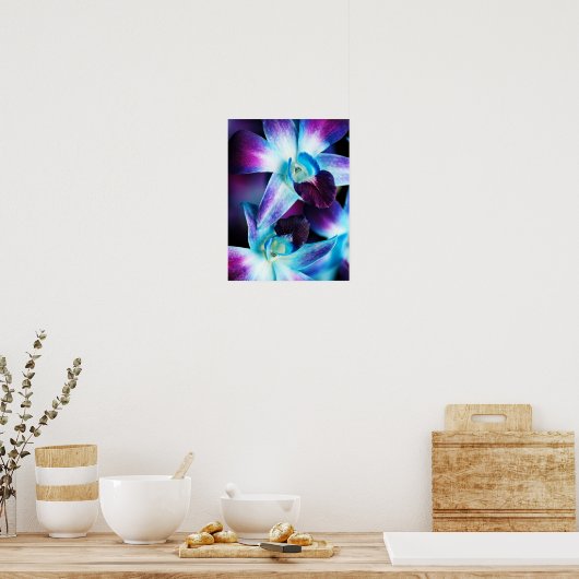 Lila & blau Dendrobium Orchideen Poster (Küche)