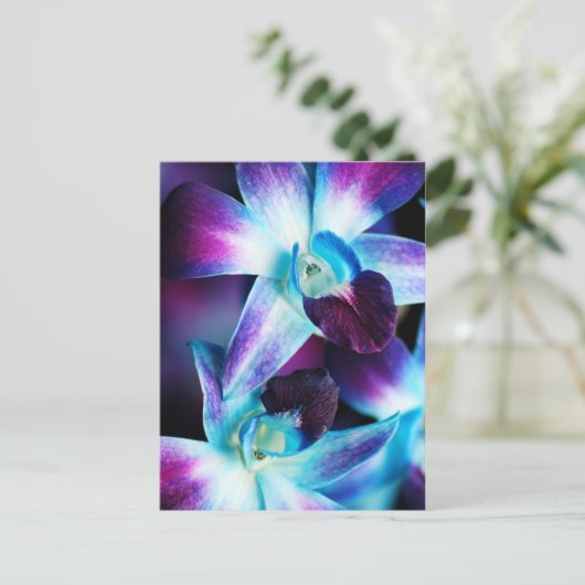 Lila & blau Dendrobium Orchideen Postkarte (Stehend Vorderseite)