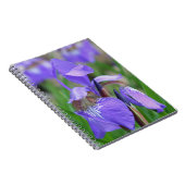 Lila Blaue Flagge Iris Blume Natur Notizblock (Rechte Seite)