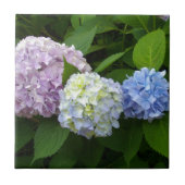lila-blaue Hydrangeas Fliese (Vorderseite)