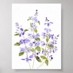 lila-blaue lila violette Nepeta-Racemosa Walker Poster