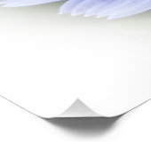 lila blaue Wegwarte Poster (Ecke)