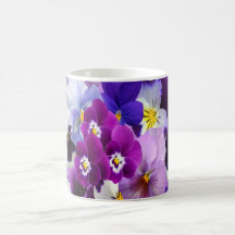 Lila Blaue Weiße Stiefmütterchen Blumen