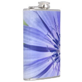 lila-blaue Zichorie Flachmann (Rechts)