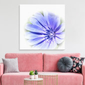 lila-blaue Zichorie Leinwanddruck (Insitu (Wohnzimmer))