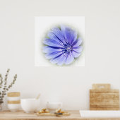 lila-blaue Zichorie Poster (Küche)