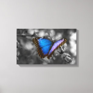 Lila blauer Schmetterling Leinwanddruck