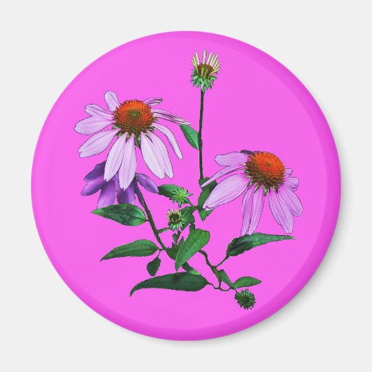 Lila Blende auf rosa Magnet (Vorne)