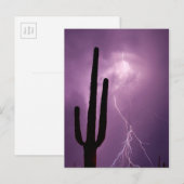 Lila Blitz und Kakteen, AZ Postkarte (Vorne/Hinten)