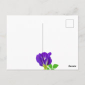 Lila Bloom Floral Postkarte (Rückseite)