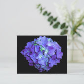 Lila blorales aquamarines Blumenhydrangea Postkarte (Stehend Vorderseite)