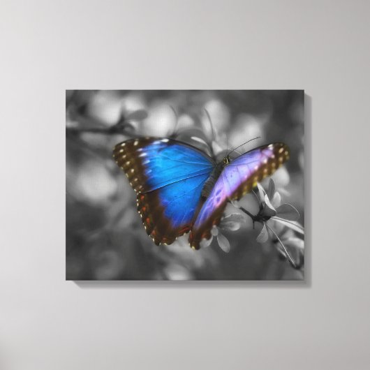 Lila Blue Butterfly Leinwanddruck (Vorderseite)