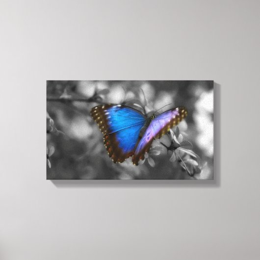 Lila Blue Butterfly Leinwanddruck (Vorderseite)