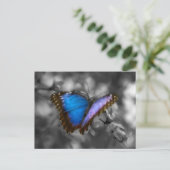 Lila Blue Butterfly Postkarte (Stehend Vorderseite)