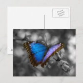 Lila Blue Butterfly Postkarte (Vorne/Hinten)
