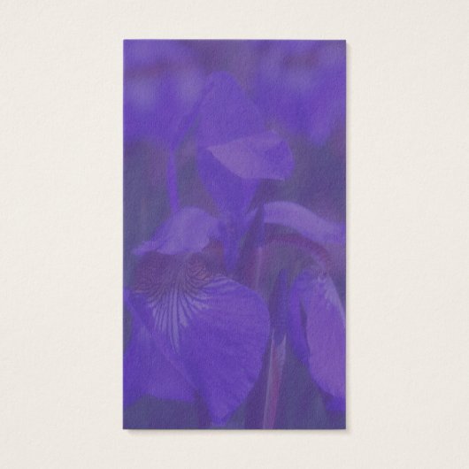 Lila Blue Flag Iris Blume Business Card (Rückseite)