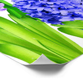 Lila Blue Pink Happy Norooz Hyacinth Blume Poster (Ecke)