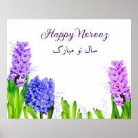 Lila Blue Pink Happy Norooz Hyacinth Blume