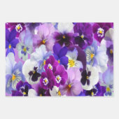 Lila Blue White Pansy Floral Blume Geschenkpapier Set (Vorderseite 3)