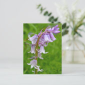 Lila Bluebell Postcard Postkarte (Stehend Vorderseite)