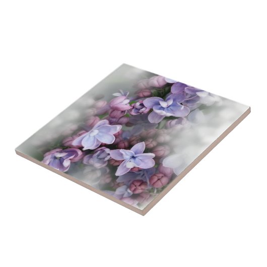 Lila Blühen Fliese (Seite)