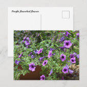 Lila blühende Blume Postkarte (Vorne/Hinten)