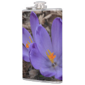 Lila blühendes Woodland Crocus Flachmann (Links)