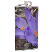 Lila blühendes Woodland Crocus Flachmann (Rechts)