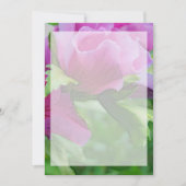 Lila Blume (Vorderseite)