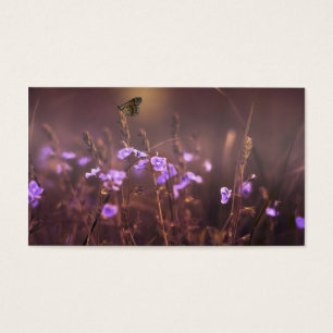 Lila Blume