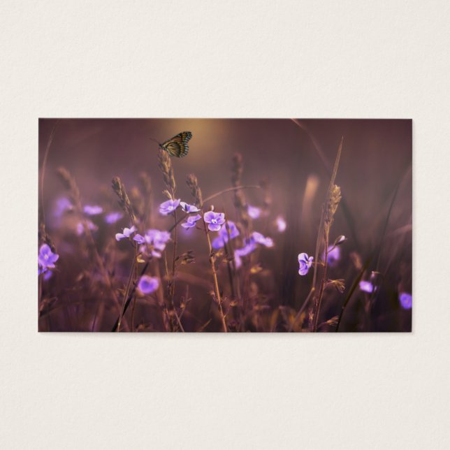 Lila Blume (Vorderseite)