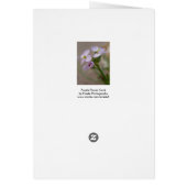Lila Blume (Hinten)