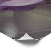 Lila Blume 20" x 20",Posterpapier,Halbglanz Poster (Ecke)