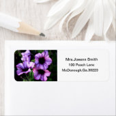 LILA BLUME ADDRESS LABLES (Insitu)