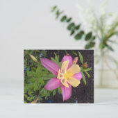 Lila Blume Alaskan Postkarte (Stehend Vorderseite)